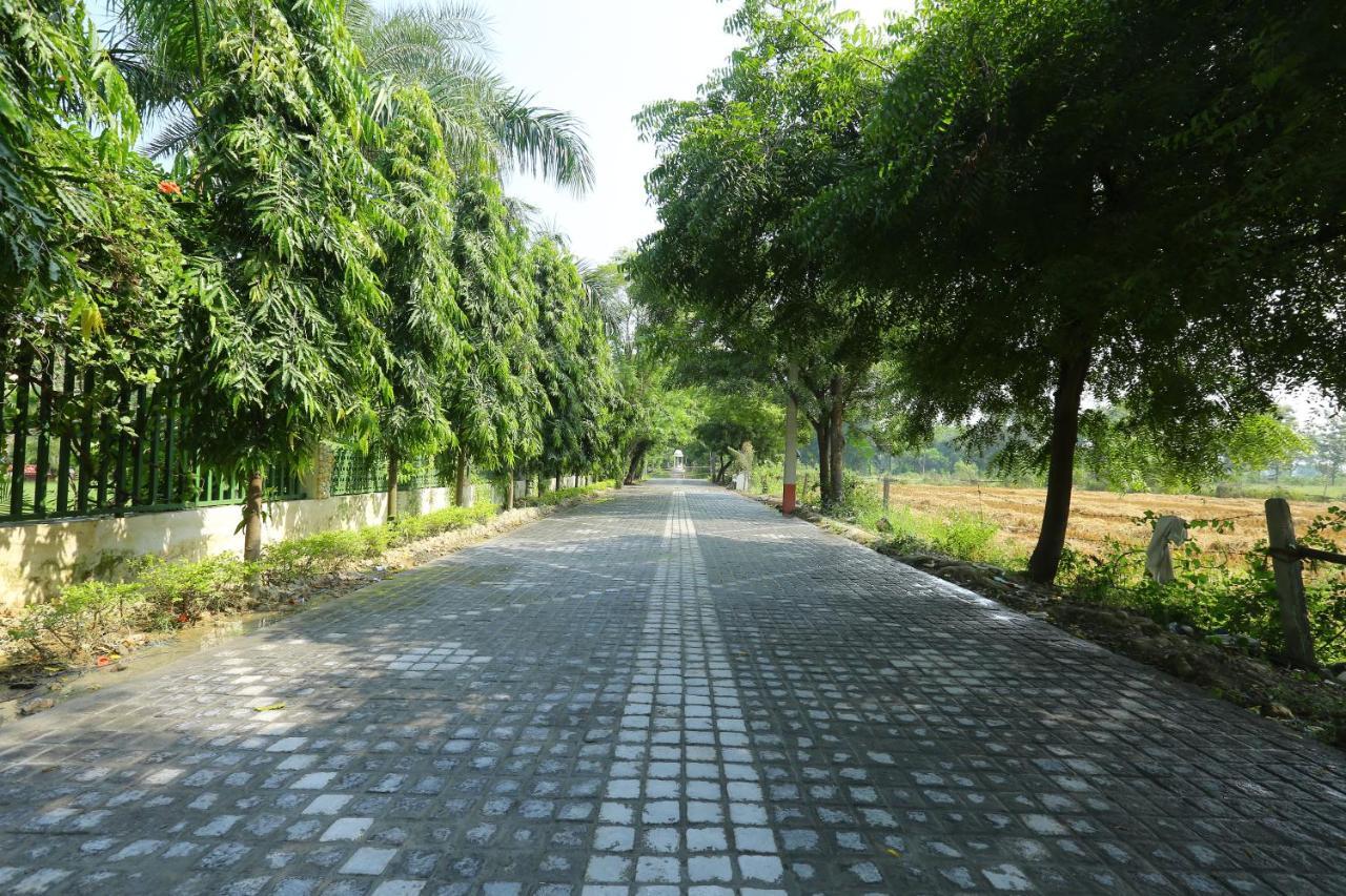 Mann The Palm Retreat Hotel Lucknow Luaran gambar